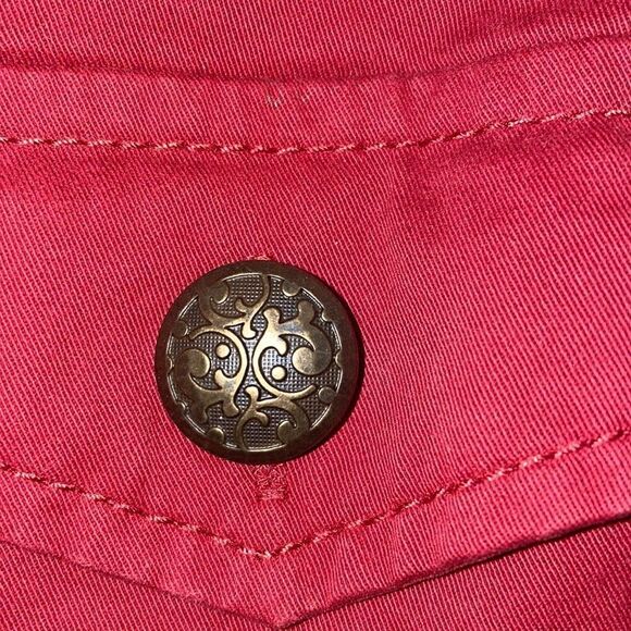 Sanctuary Military Style Jacket color: sundried tomato - Picture 8 of 8